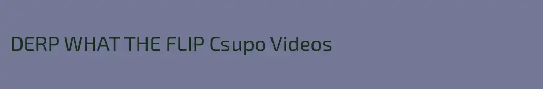 DERP WHAT THE FLIP Csupo Videos